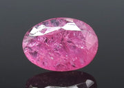 3.98/CT Natural Mozambique Ruby with Govt. Lab Certificate-(RUBY9W)