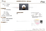 Load image into Gallery viewer, 6.83/CT Natural South Sea Pearl with Govt. Lab Certificate (1550)
