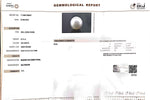 Load image into Gallery viewer, 6.74/CT Natural South Sea Pearl with Govt. Lab Certificate (1550)

