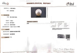 Load image into Gallery viewer, 11.06/CT Natural South Sea Pearl with Govt. Lab Certificate (1550)

