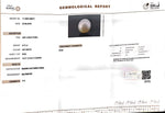 Load image into Gallery viewer, 6.75/CT Natural South Sea Pearl with Govt. Lab Certificate (1550)

