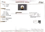 Load image into Gallery viewer, 6.97/CT Natural South Sea Pearl with Govt. Lab Certificate (1550)
