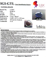 Load image into Gallery viewer, 7.10 Ratti Natural Iolite With Govt. Lab Certificate-(1221)
