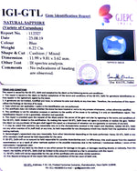 Load image into Gallery viewer, 6.91 Ratti Natural Blue Sapphire With Govt Lab Certified-(16650)
