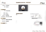 Load image into Gallery viewer, 8.19/CT Natural South Sea Pearl with Govt. Lab Certificate (1550)
