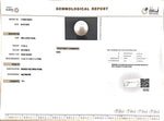 Load image into Gallery viewer, 11.93/CT Natural South Sea Pearl with Govt. Lab Certificate (1550)
