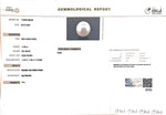 Load image into Gallery viewer, 11.86/CT Natural South Sea Pearl with Govt. Lab Certificate (1550)
