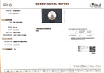 Load image into Gallery viewer, 8.22/CT Natural South Sea Pearl with Govt. Lab Certificate (1550)
