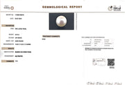 8.43/CT Natural South Sea Pearl with Govt. Lab Certificate (1550)