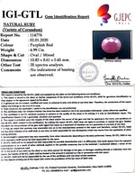 Load image into Gallery viewer, 5.54 Ratti Natural Neo Burma Ruby with Govt. Lab Certificate-(3441)
