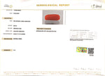 Load image into Gallery viewer, 8.65/Carat Natural Cylindrical Red Coral (2100)
