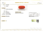Load image into Gallery viewer, 6.73/Carat Natural Cylindrical Red Coral (2100)
