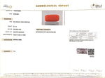 Load image into Gallery viewer, 8.11/Carat Natural Cylindrical Red Coral (2100)
