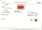 Load image into Gallery viewer, 8.40/Carat Natural Cylindrical Red Coral (2100)
