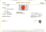 Load image into Gallery viewer, 8.45/Carat Natural Cylindrical Red Coral (2100)
