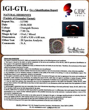 8.19 Ratti Natural Govt. Lab Certified Ceylonese Gomed-(1221)