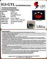 Load image into Gallery viewer, 9.10 Ratti Natural Govt. Lab Certified Ceylonese Gomed-(1221)
