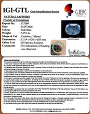 3.91/CT Natural Neelam with Govt Lab Certificate (4551)