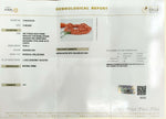 Load image into Gallery viewer, 76.06/CT Natural Italian Coral Mala-1150
