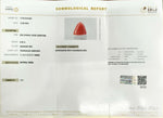 Load image into Gallery viewer, 6.56/CT Natural Triangular Red Coral-1800
