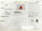 Load image into Gallery viewer, 6.88/CT Natural Triangular Red Coral-1800
