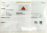 Load image into Gallery viewer, 6.20/CT Natural Triangular Red Coral-1800
