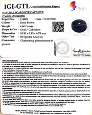 5.10 Ratti Natural Scapolite Cat's Eye with Govt. Lab Certified-(1221)