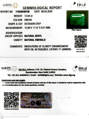 12.04/CT Natural Panna Stone with Govt. Lab Certificate-11925D48126