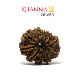 Load image into Gallery viewer, 11 MUKHI NEPALI RUDRAKSHA