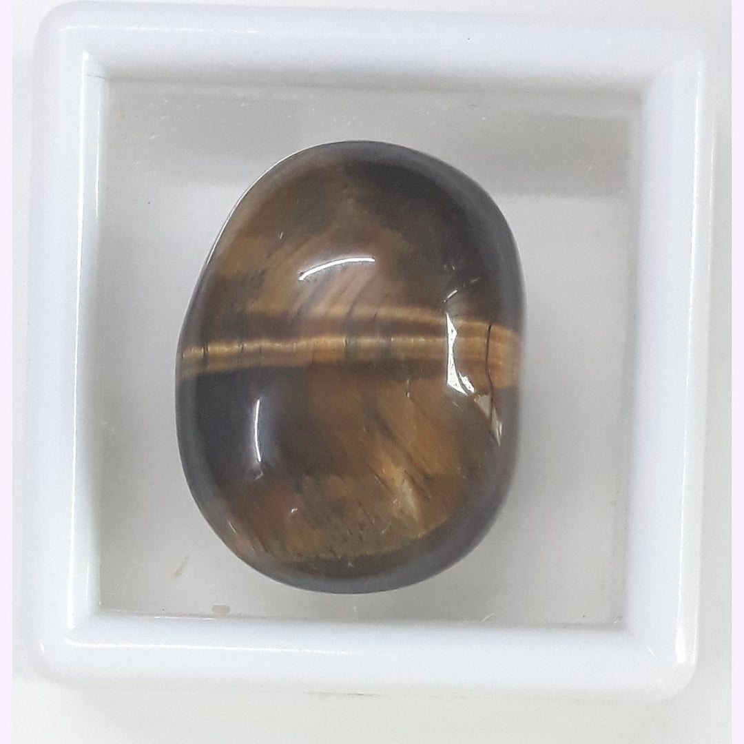 Tiger Eye-(350)