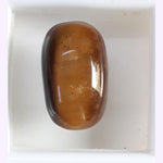 Load image into Gallery viewer, Tiger Eye-(350)
