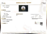 Load image into Gallery viewer, 4.61/CT Natural South Sea Pearl with Govt. Lab Certificate-1550

