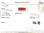 Load image into Gallery viewer, 8.16/Carat Natural Cylindrical Red Coral-1800

