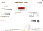 Load image into Gallery viewer, 8.08/Carat Natural Cylindrical Red Coral-1800
