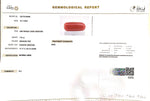 Load image into Gallery viewer, 7.91/Carat Natural Cylindrical Red Coral-1800
