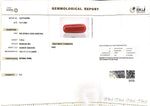 Load image into Gallery viewer, 7.29/Carat Natural Cylindrical Red Coral-1800
