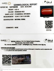 6.62/CT Natural Red Coral With Govt. Lab Certificate-12377D50199
