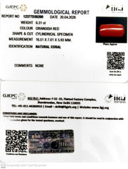 6.31/CT Natural Red Coral With Govt. Lab Certificate-12377D50200