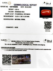6.59/CT Natural Red Coral With Govt. Lab Certificate-12377D50203