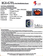 Load image into Gallery viewer, 5.42 Ratti Natural Hessonite with Govt. Lab Certificate-(1221)
