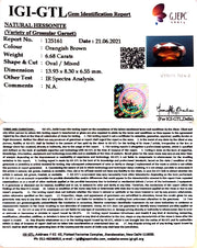 7.41 Ratti Natural Govt. Lab Certified Ceylonese Gomed-(1221)