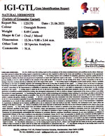 Load image into Gallery viewer, 9.42 Ratti Natural Govt. Lab Certified Ceylonese Gomed-(1221)
