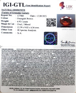 Load image into Gallery viewer, 4.92/CT Natural Govt. Lab Certified Ceylonese Gomed-(1221)
