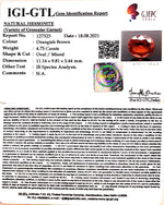 Load image into Gallery viewer, 4.75/CT Natural Govt. Lab Certified Ceylonese Gomed-(1221)
