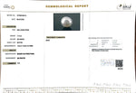 Load image into Gallery viewer, 7.74/CT South Sea Pearl with Govt. Lab Certificate-1550
