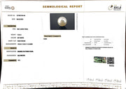 7.94/CT South Sea Pearl with Govt. Lab Certificate-1550