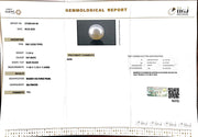 11.24/CT South Sea Pearl with Govt. Lab Certificate-1550