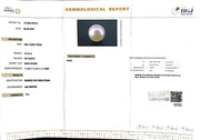 10.18/CT South Sea Pearl with Govt. Lab Certificate-1550
