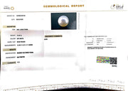 13.44/CT South Sea Pearl with Govt. Lab Certificate-1550
