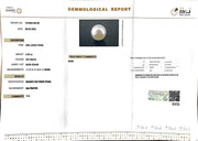 9.93/CT South Sea Pearl with Govt. Lab Certificate-1550